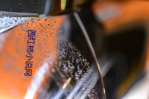 鸿运国际·(中国)会员登录入口