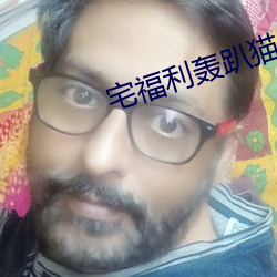 宅福利轰趴猫