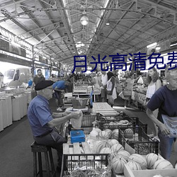 月光高清免費觀看完整版