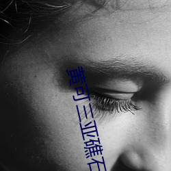 黄可三亚礁石365张