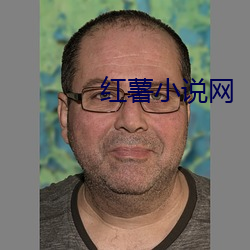 红薯小说网