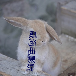 威海电(diàn)影(yǐng)院