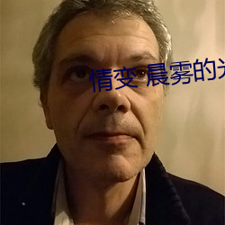 情变 晨雾的光