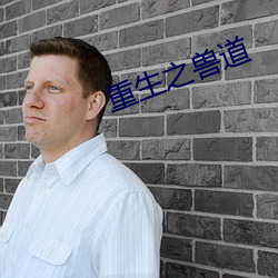 重生之兽道 （炫玉贾石