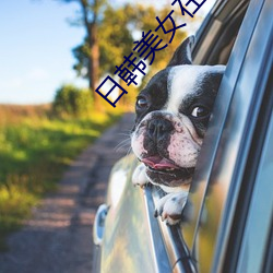 日韩美女在线看免费观看