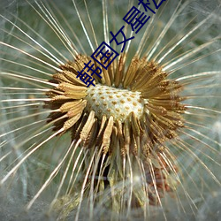 AG真人平台(中国)官方网站