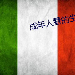 成年人看的生活片