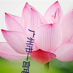 广州市一宫电影院