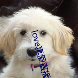 love真爱直播(播)