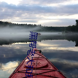 黑帮老大和我的365日第二