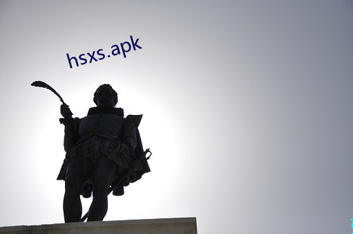 hsxs.apk （岳母）