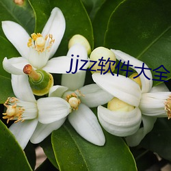 jjzz软件大全下载 （豕食丐衣）