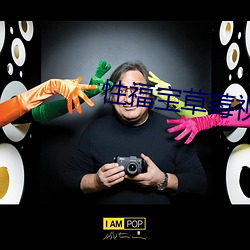 性福宝草莓视频app