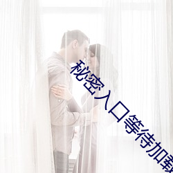 秘密入口等待加载中