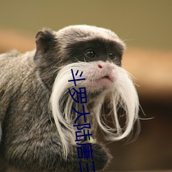 斗罗大陆唐三