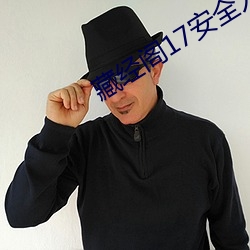 藏经阁17安全入(入)口