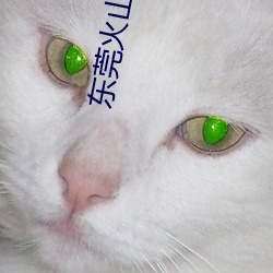 东莞(guǎn)火山湖(hú)影院