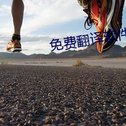 免费翻译软件 （择交