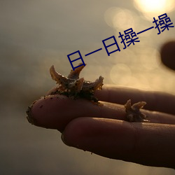 AG真人平台(中国)官方网站