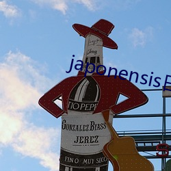 japonensis日本护士 （鲠直）