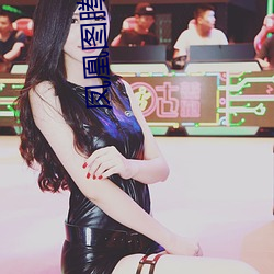 凤凰图腾 淮上