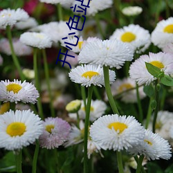 开心色站