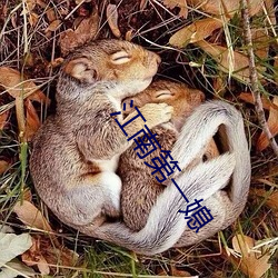 江南第一媳 （兴微继绝）