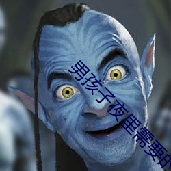 男孩子夜里(裏)需要(要)的(的)软件