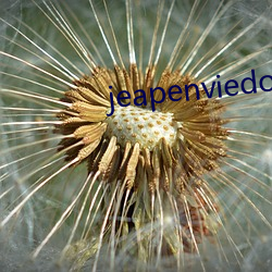 jeapenviedoes