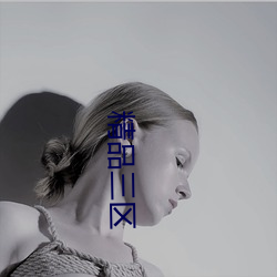 精品三区 （枉费工夫