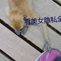 看美(美)女隐私全部视(視)频软(軟)件