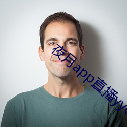 夜月app直播yy66tv