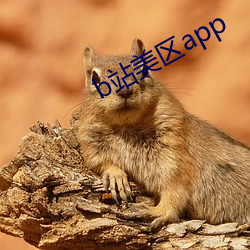 b站美区app