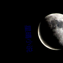 星晴小说
