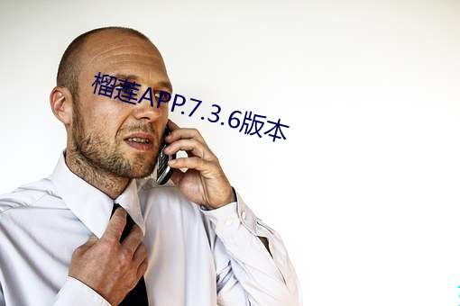 榴莲APP.7.3.6版本(本)