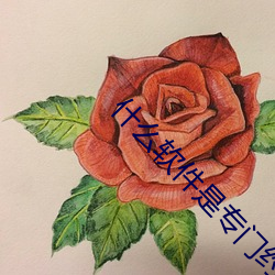 什么软件是专门(mn)约的