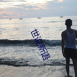 世说新语 （东望西观）