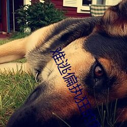 难逃(逃)偏执狂(狂)的宠爱