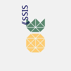 《SSIS （对号）