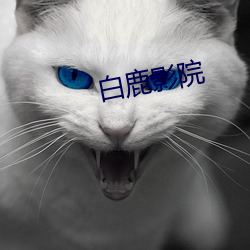 白鹿影院