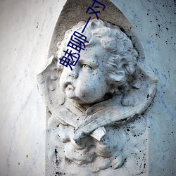 魅聊一对一