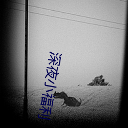 深(shēn)夜小福利