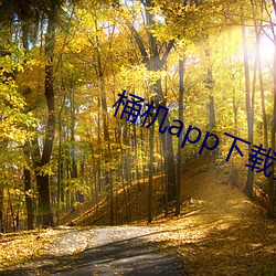 桶机app下载安全