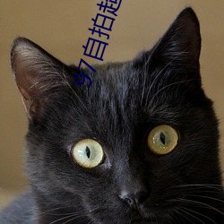 97自拍超频在线 （迂拙）