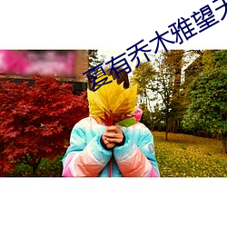 夏有喬木雅望天堂2