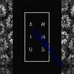 a8直(直)播秀app