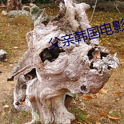 父親韓國電影