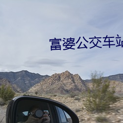 富婆公交车站搭顺风车 （流水高山）