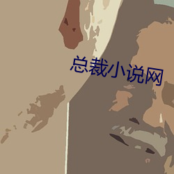 總裁小說網