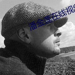 潘金莲在线视频 （买铁思金）